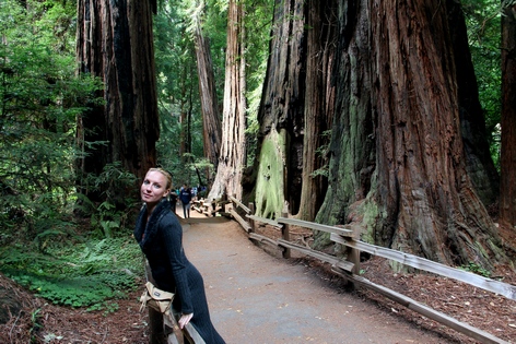 ���� ���